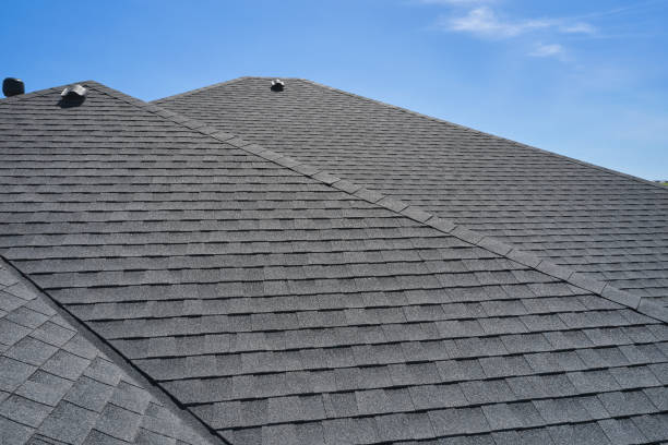 Best Solar Panel Roofing Installation  in Little Walnut Village, NM